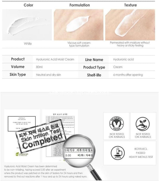 Isntree Hyaluronic Acid Moist Cream 100ml