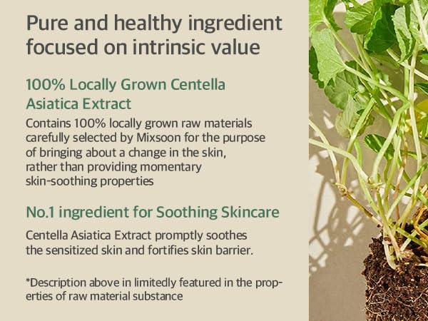 mixsoon Soondy Centella Asiatica Essence 100ml
