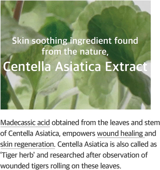 mixsoon Soondy Centella Asiatica Essence 100ml